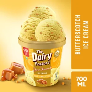 Kwality wall's Crunchilicious Butterscotch Tub 700 ml Combo
